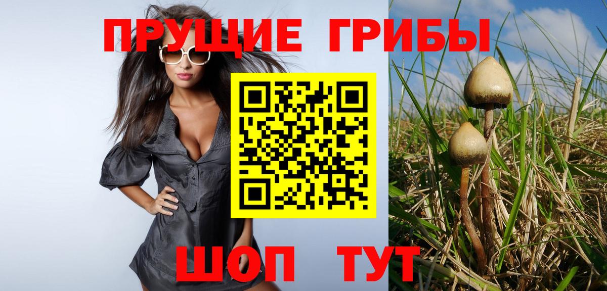 Гусев  Галлюциногенные грибы Psilocybe  Вход с VPN 